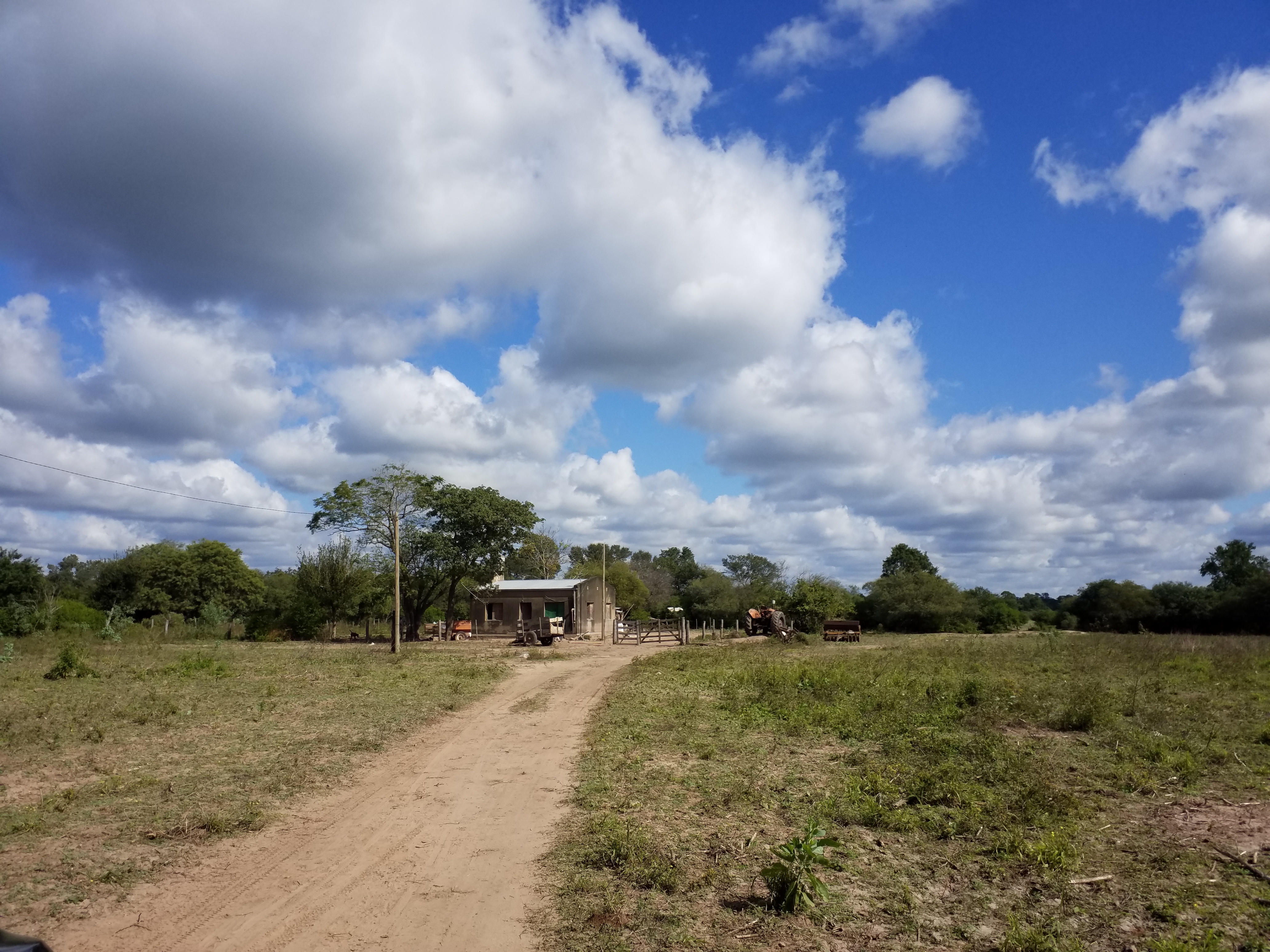 Establecimiento Ganadero sobre ruta