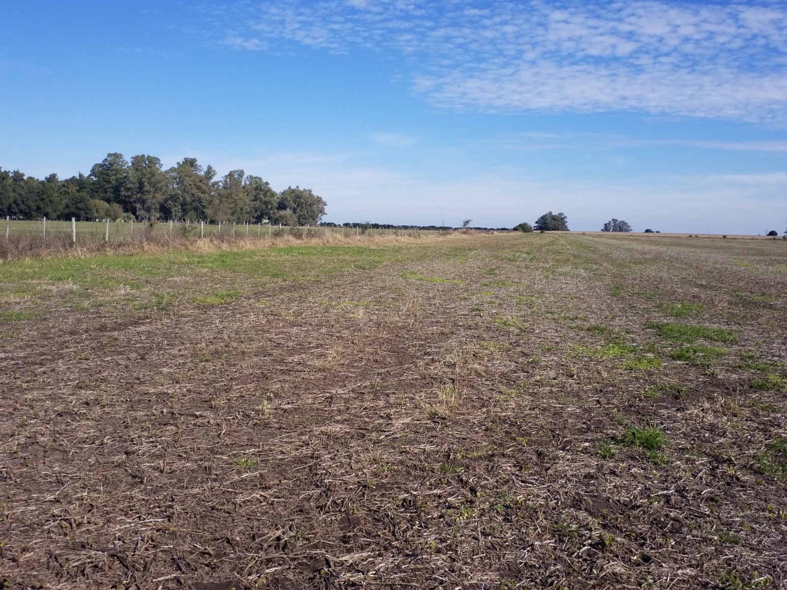FRACCIÓN DE CAMPO AGRÍCOLA SIN MEJORAS