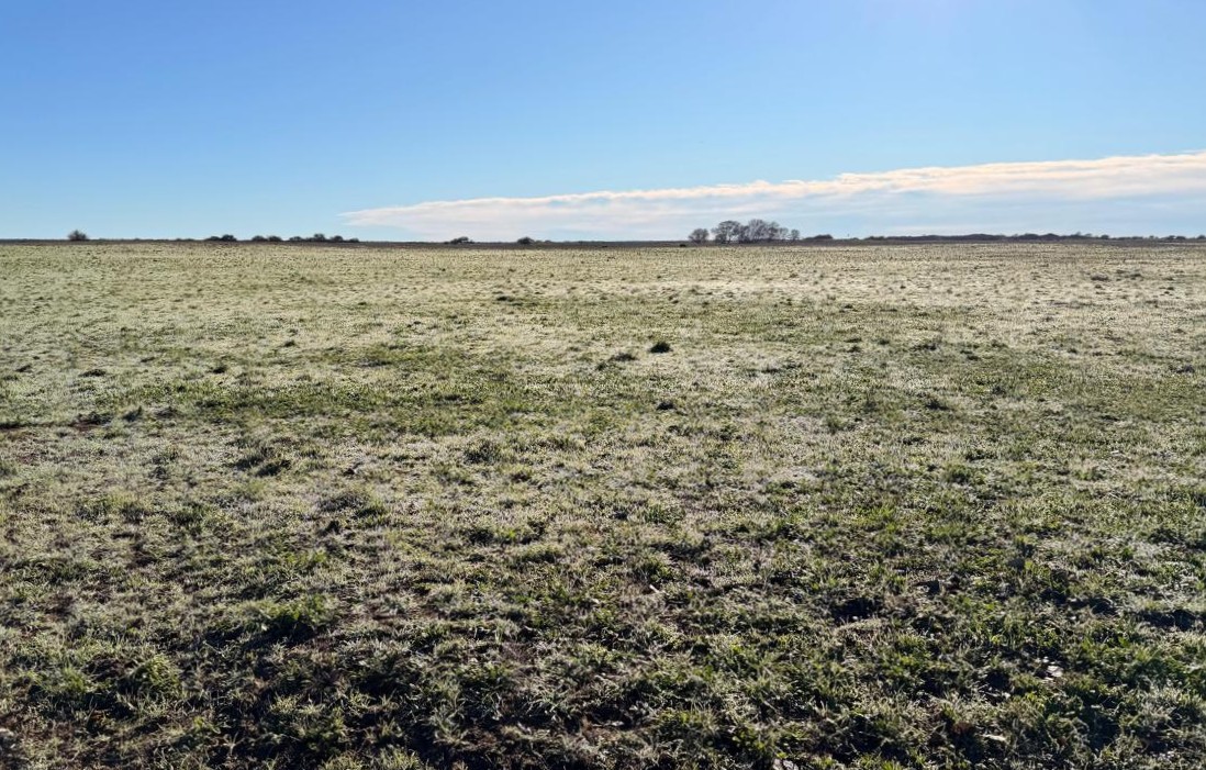 Establecmiento ganadero en La Pampa