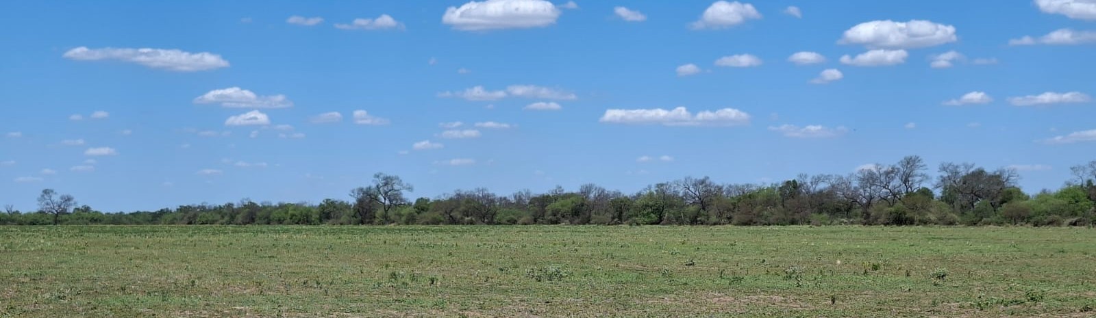 IMPORTANTE ESTABLECIMIENTO DE APTITUD MIXTA EN SALTA