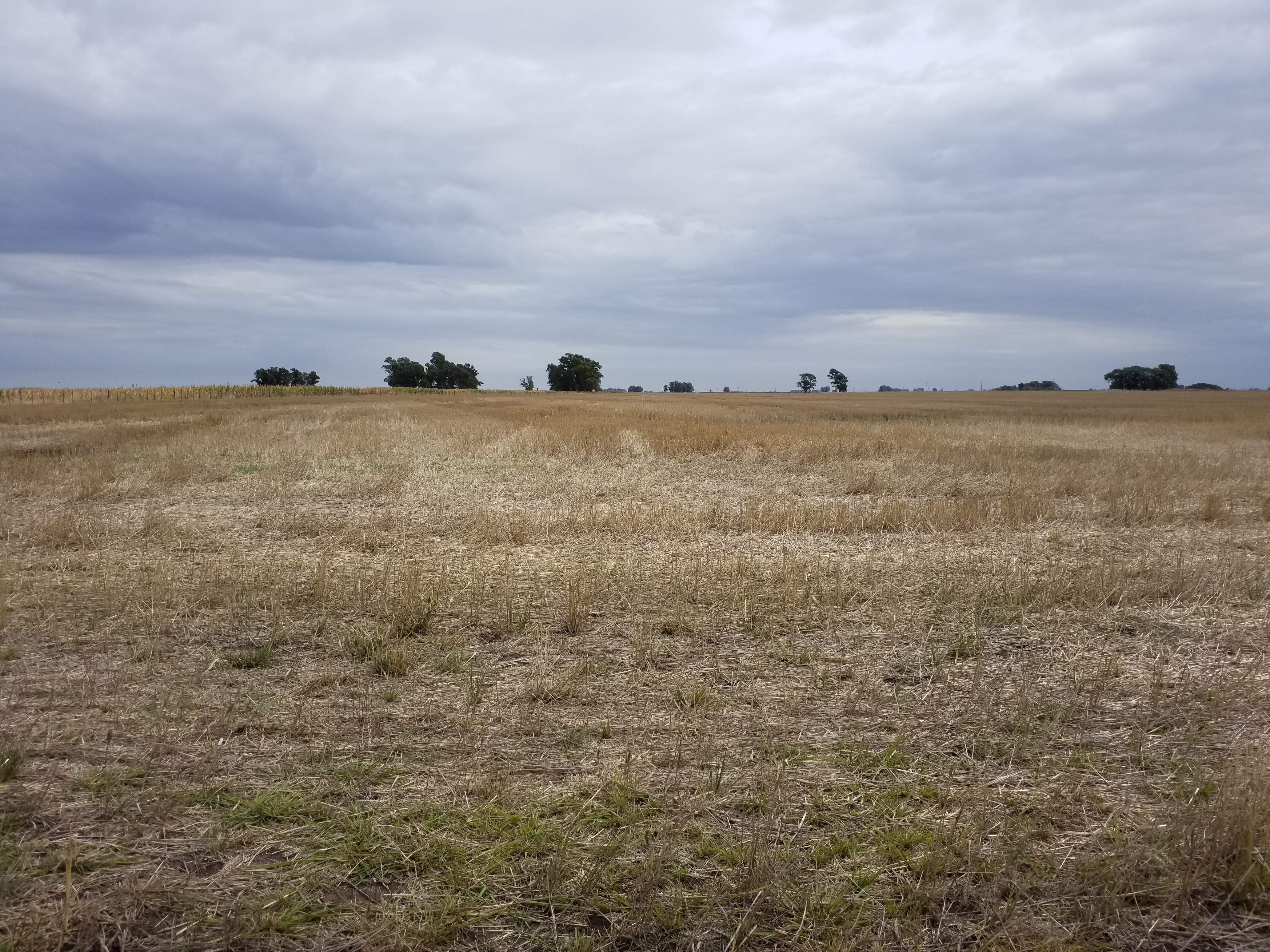 INTERESANTE CAMPO EN OLAVARRÍA